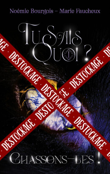 Destockage-Cover-CL-ebook